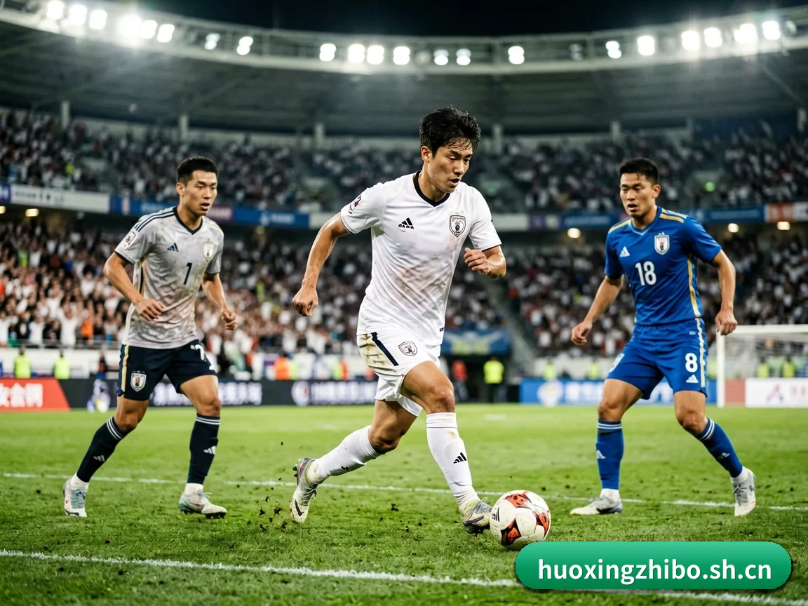 五大服务分区,信息按项目分类